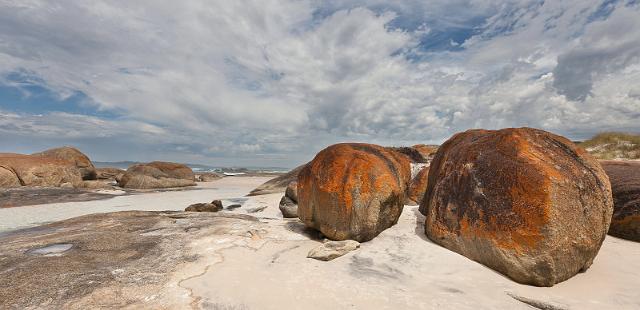 123 William Bay NP.jpg